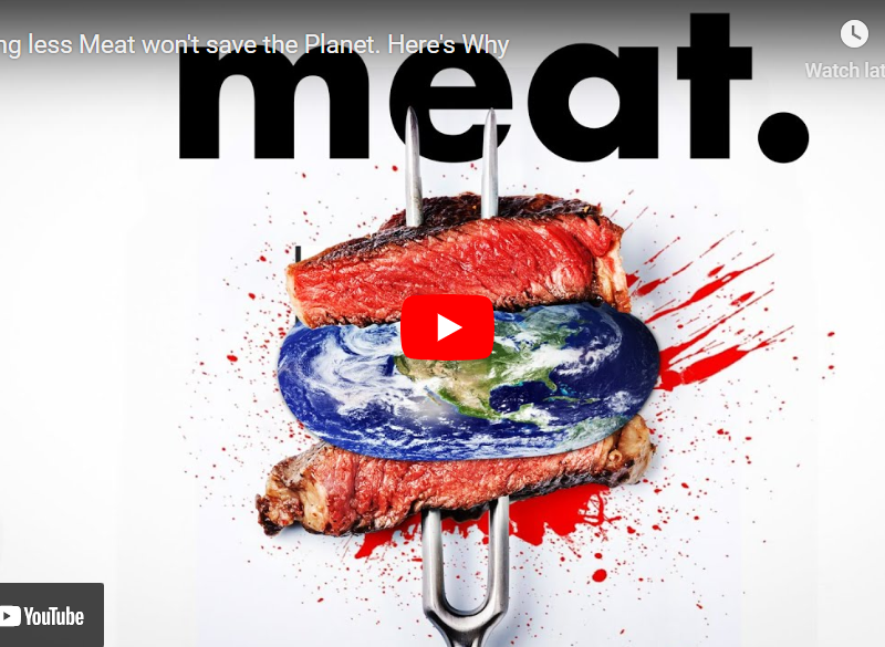 méně masa nezachrání planetu